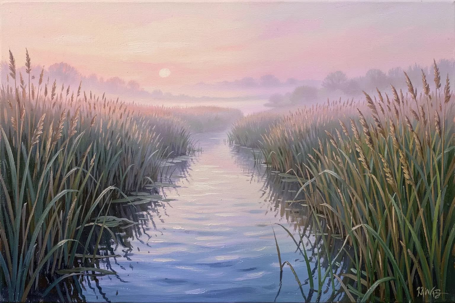 Morgenkanal im Theiß-Schilf