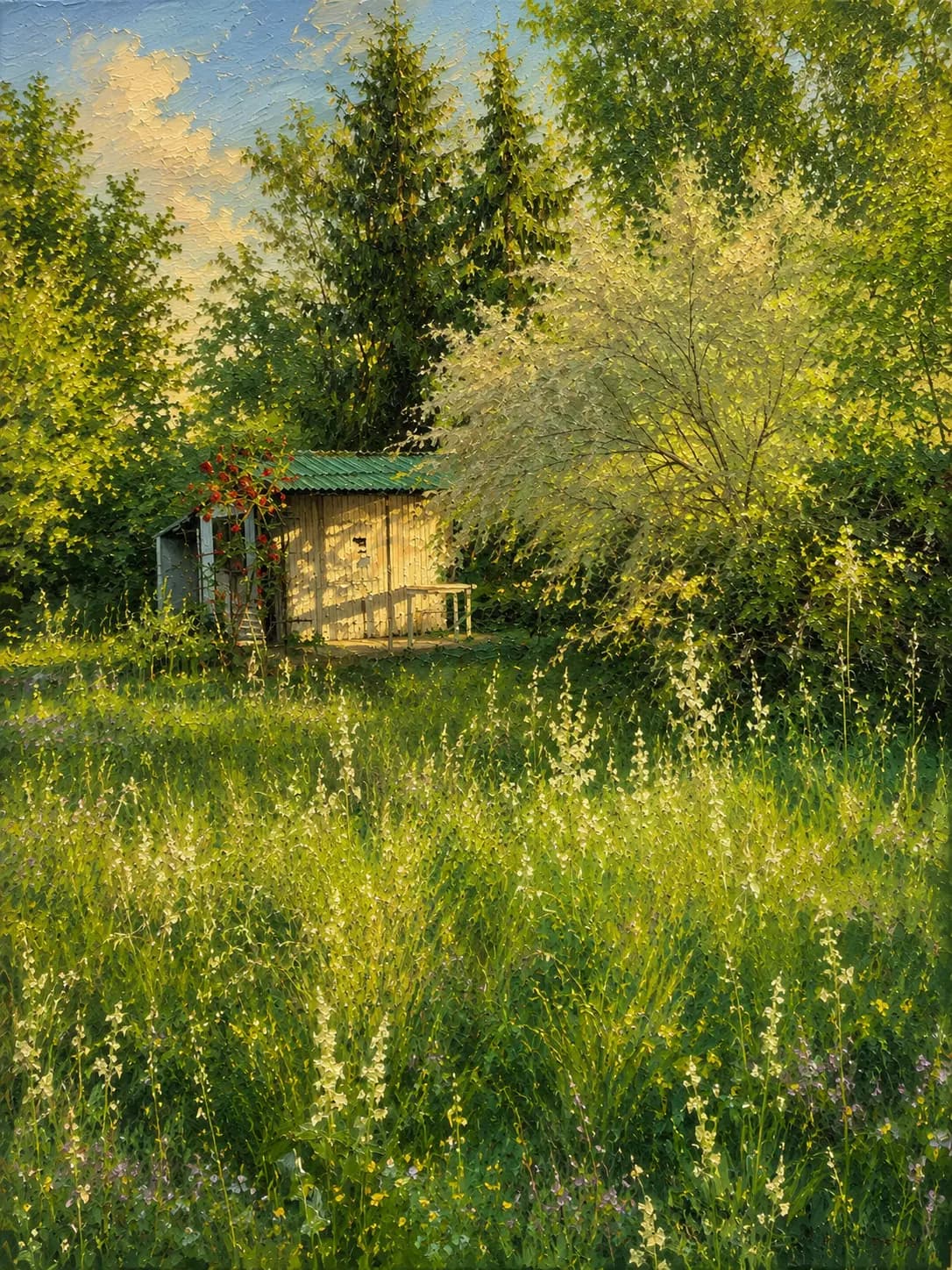 Sonnenbeschienener Schuppen im wilden Garten